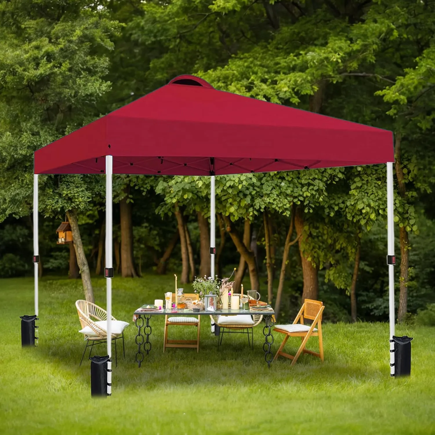 10x10 Pop Up Canopy Tent Waterproof Tent for Outdoor Party Camping Commercial Event Tent, with Wheeled Bag and 4 Sandbags (Red)