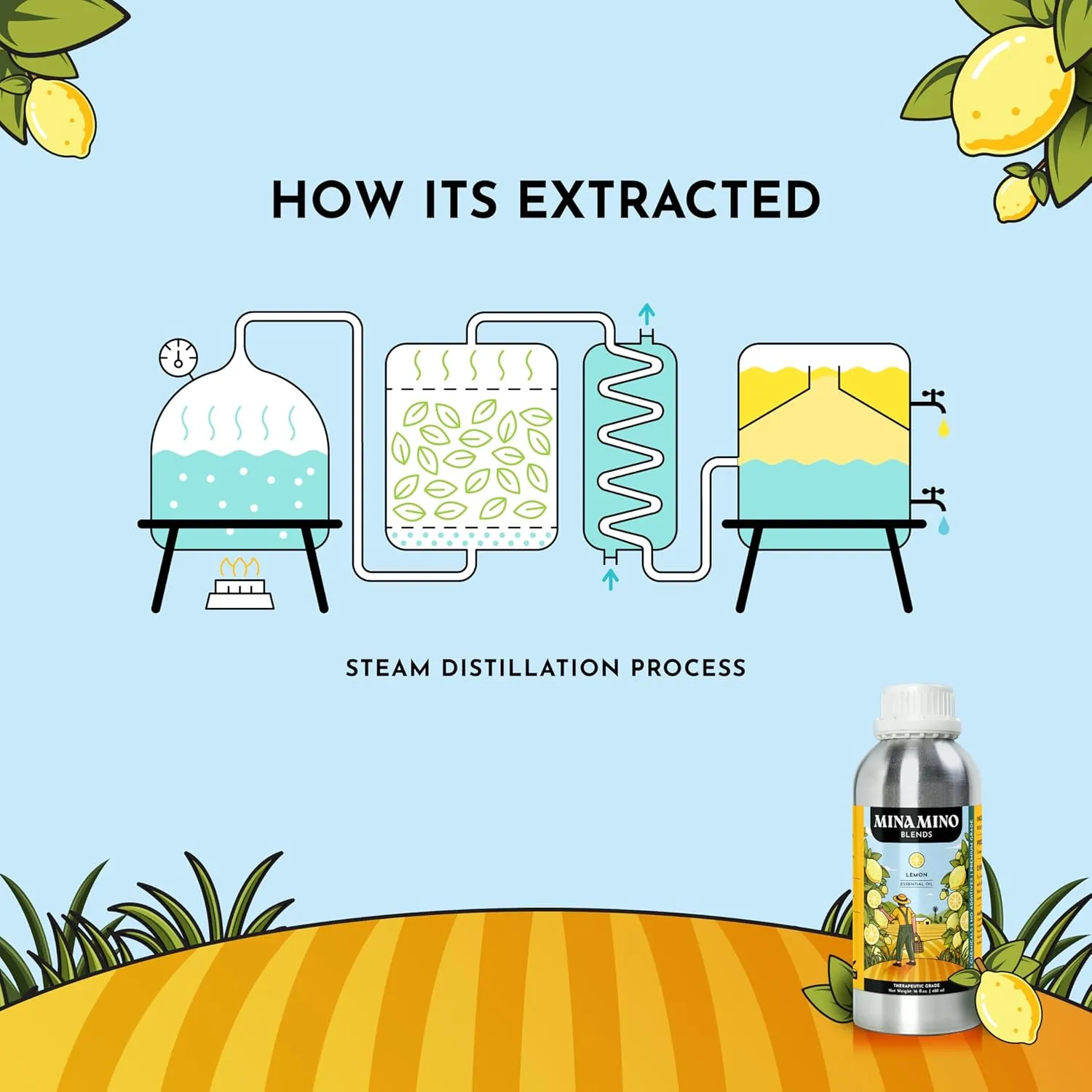 16 fl oz - Lemon Essential Oil (100% Pure & Natural) Large Aluminum Bottle for Aromatherapy, Diffuser, Candle & Soap Making - Minamino Blends