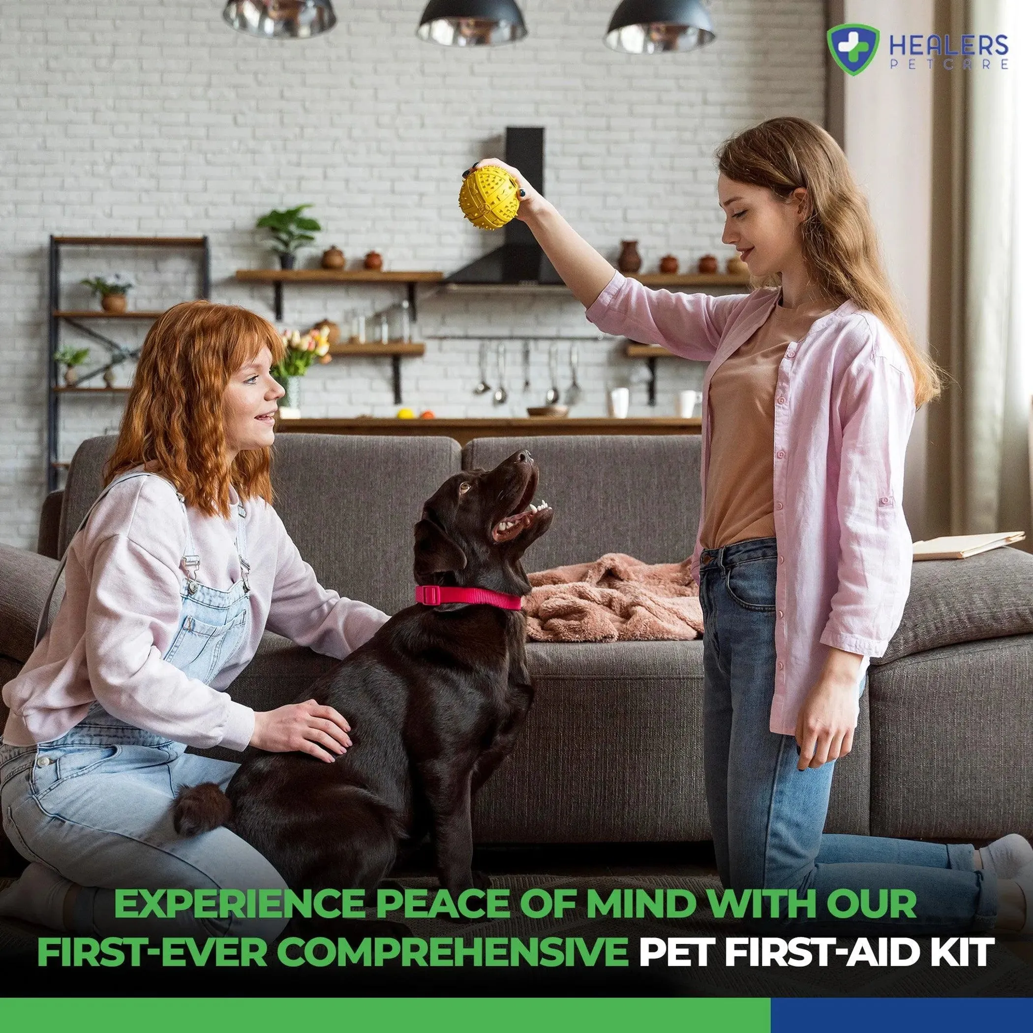 Aid First Comprehensive Healers Sophisticated Kit Contemporary