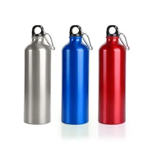 Alpine Aluminium Bottle