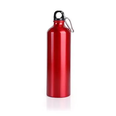 Alpine Aluminium Bottle