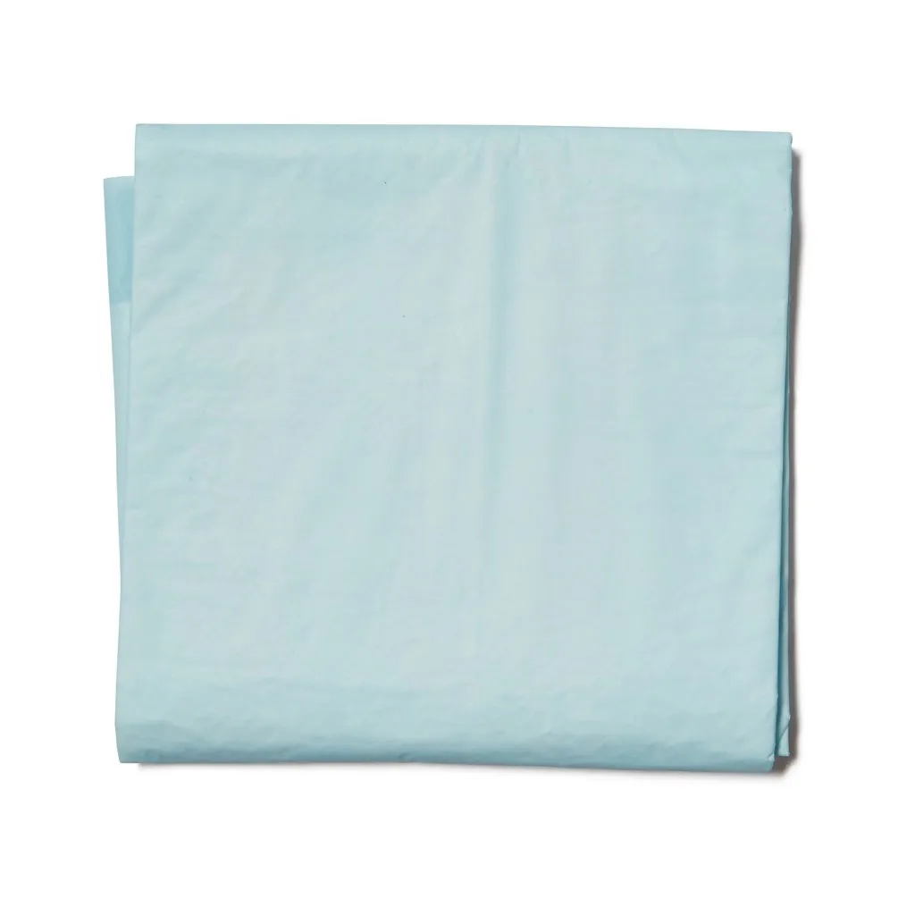 Bed Underpad Disposable 40cm x 55cm