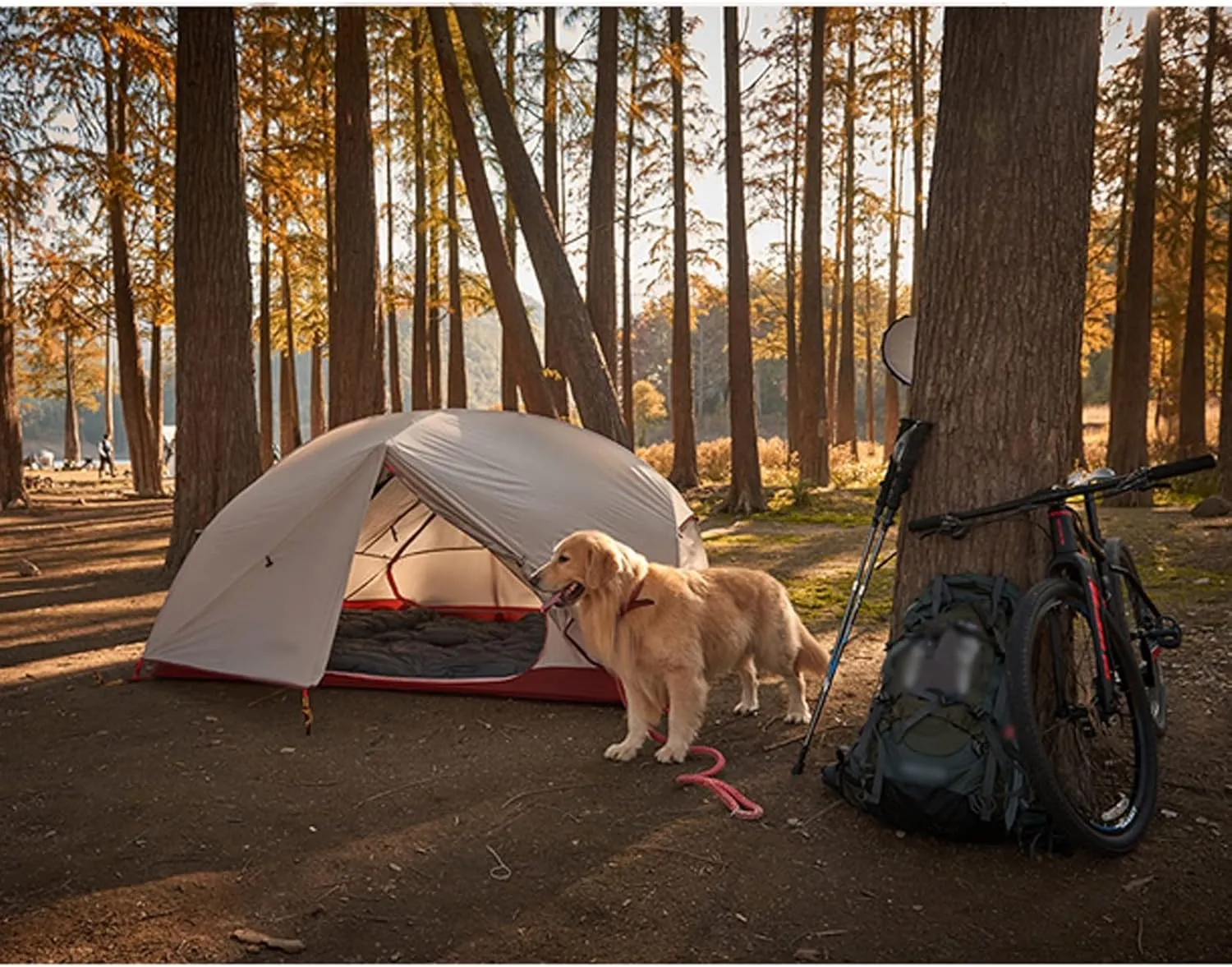 Camping Tents,3 Persons Camping Tent Ultralight 20d Nylon Double Layer Waterproof Backpacking Tent for Hiking Travel with Free Mat (Color : Gray, Size : 220 * 180 * 110cm)