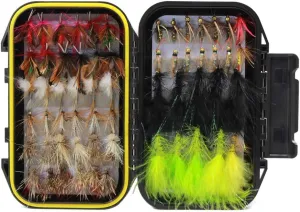 Croch 60pcs Fly Fishing Dry Flies Wet Flies Assortment Kit with Waterproof Fly Box for Trout Fishing