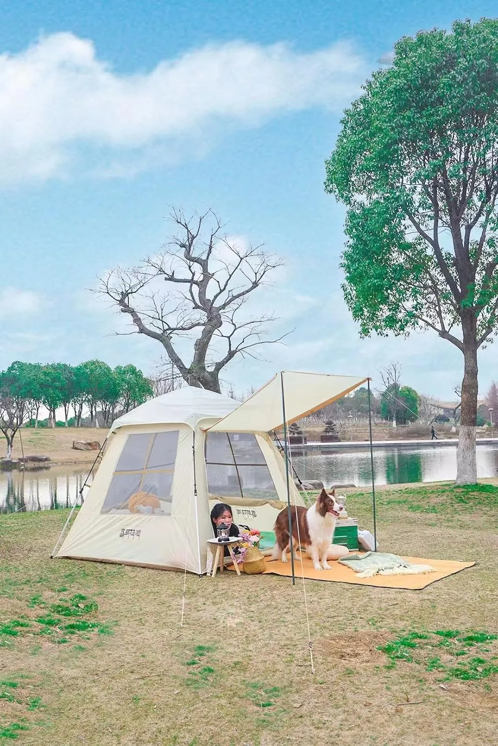 Family Tent for Camping, 4 Person Cabin Tent Camping Tent Easy Setup Portable Ventilation Waterproof