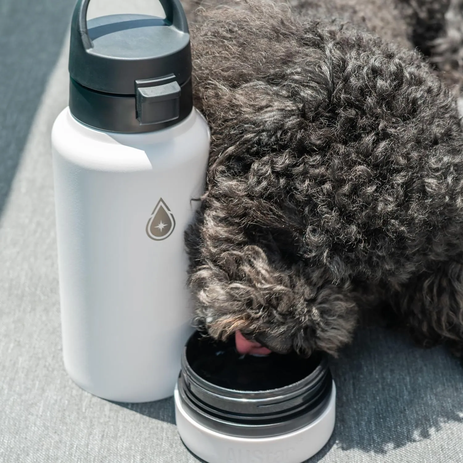 Fruit Infuser Water Bottle with Hidden Compartment - Water Infuser - Infusion Water Bottle - Hot and Cold Water Bottle - Dishwasher Safe Water Bottle - Dog Water Bottle - 26 oz (Marshmallow)