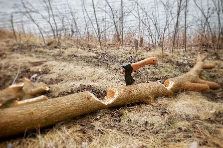 Hults Bruk Jonaker Hatchet