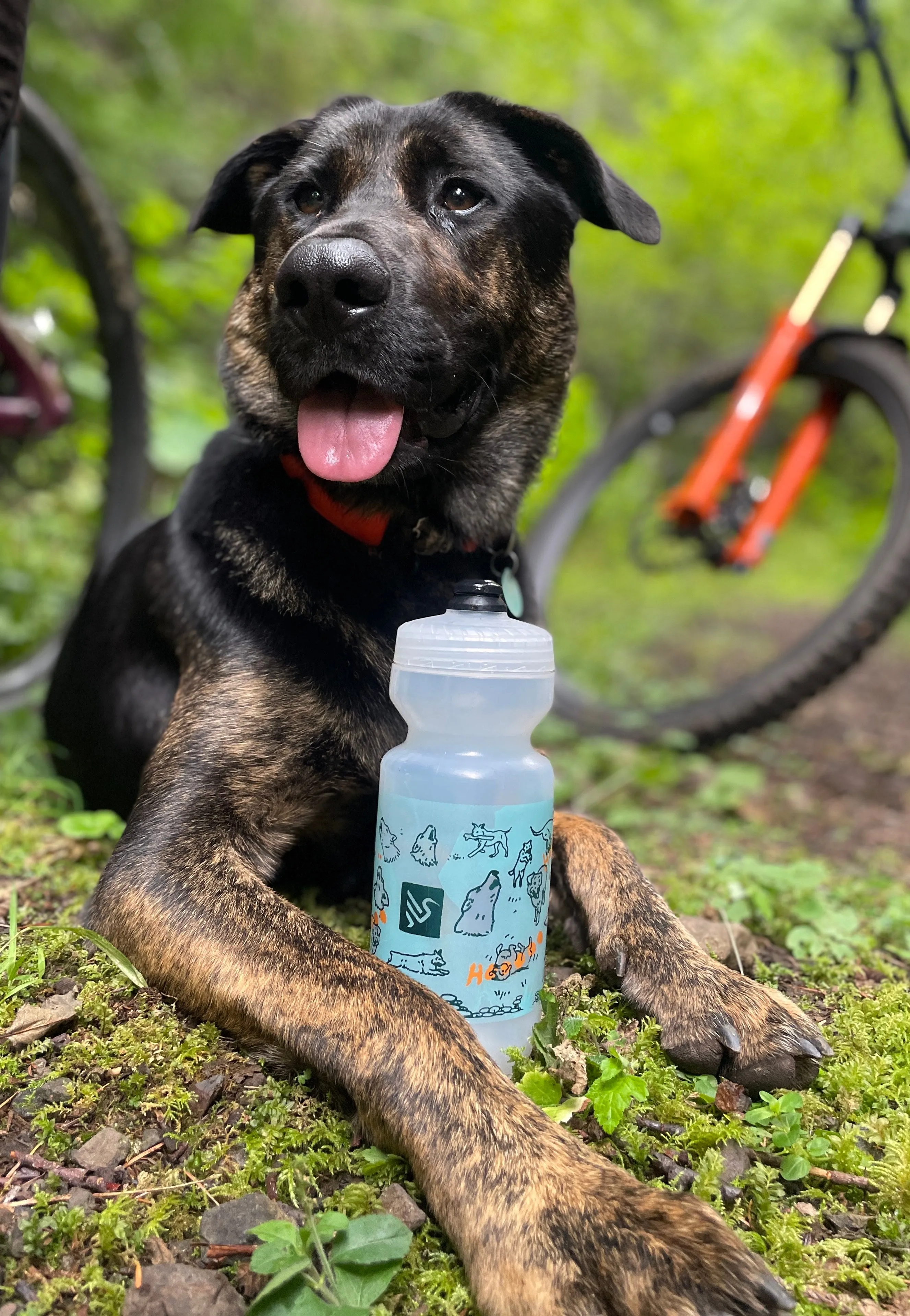 Ibis Trail Pup   Friends Bottle - 22oz Purist