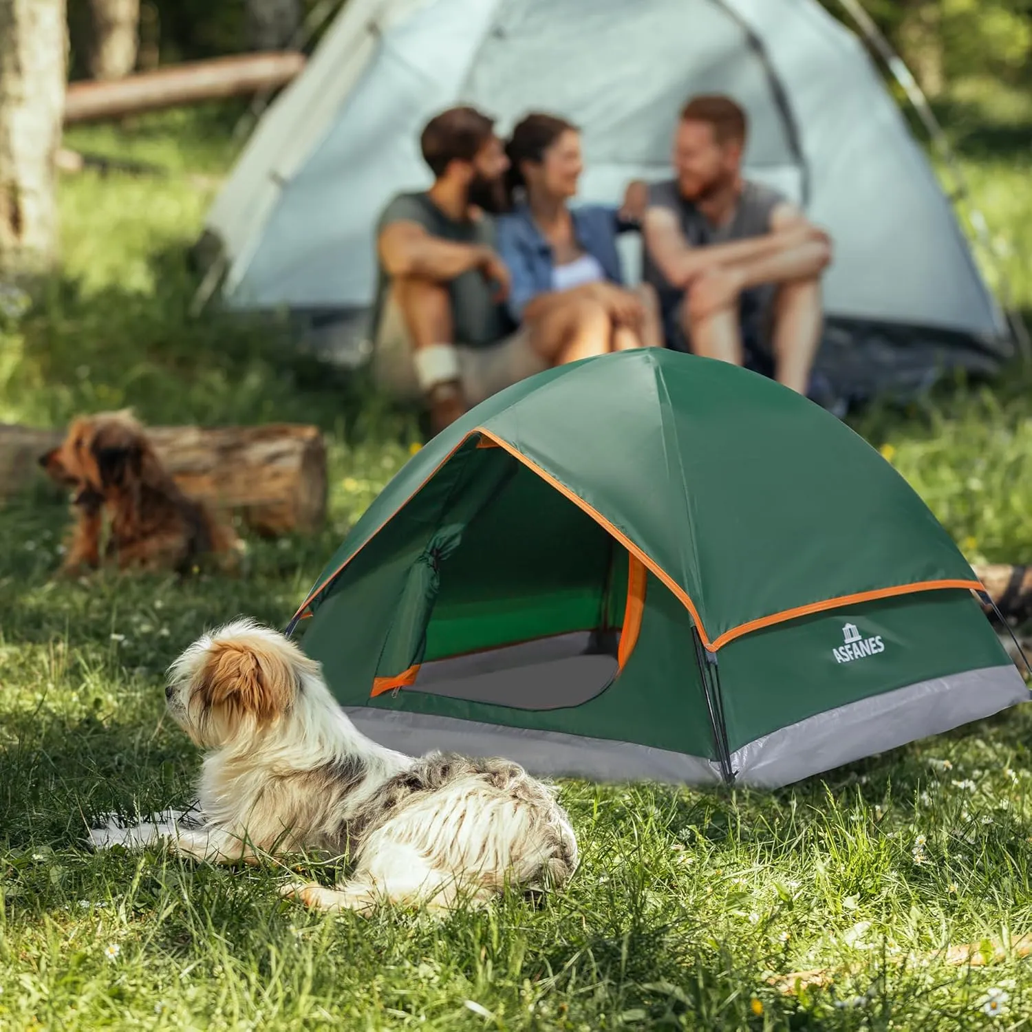 Outdoor Waterproof Pet Camping Tent, Cave Bed for Indoor Cats and Small Dogs, Portable Cat House Dog House, 39.3x39.3x23.6'', Green, L.