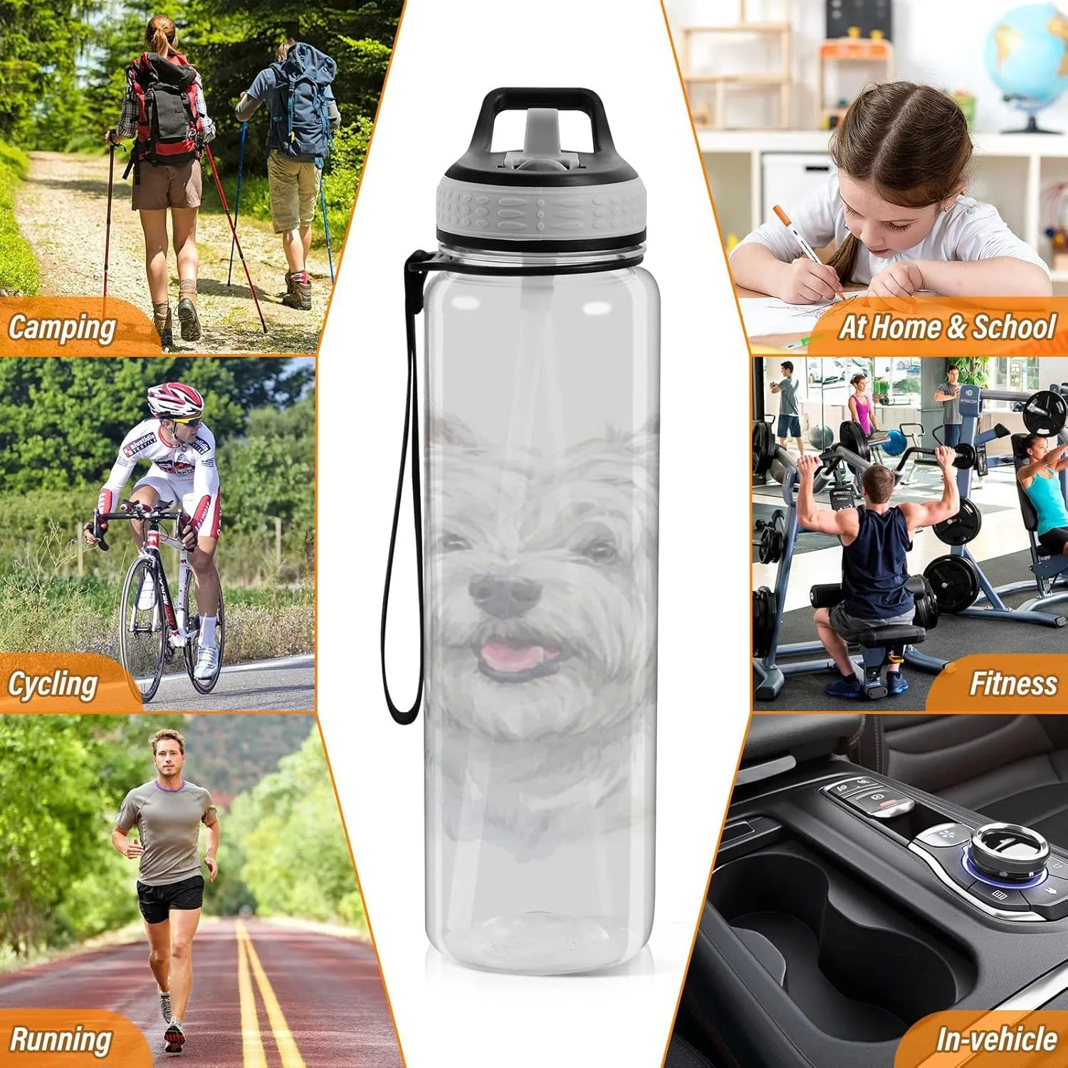 Oyihfvs West Highland White Terrier Breed Dog Painting on White Transparent Sports Water Bottle 32 Oz, with Straw Lid Leakproof Reusable Water Bottle, Water Bottle for Fitness Gym Outdoor