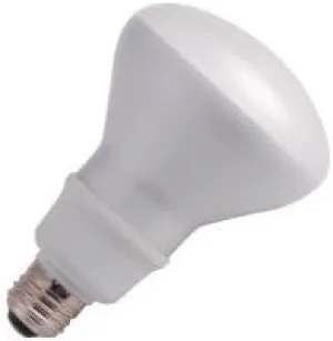 (Pack of 24) Halco 46101 - CFL16/30/R30/ES 16W R30 3000K Medium ProLume Flood Screw Base Compact Fluorescent Light Bulb