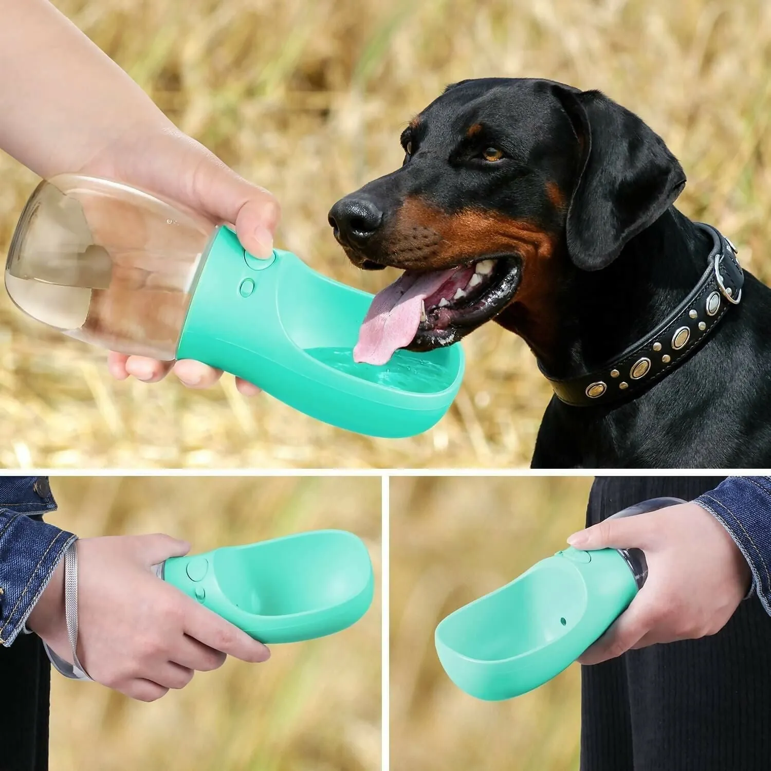 Portable Dog Water Bottle 350ml Leak-Proof Pet Water Dispenser for Dogs & Cats ( Multicolor )