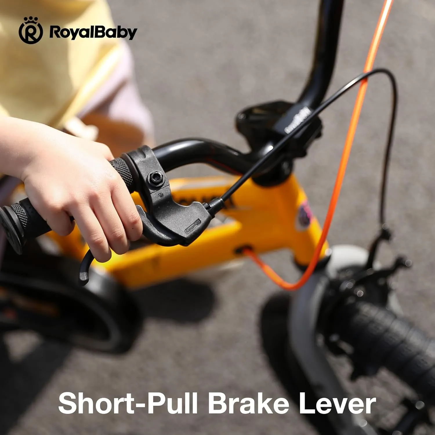 RoyalBaby Kids Bike EZ Freestyle Training Free Balance to Pedal Easy Learning Bicycle, 12-18 Inch for Toddlers to Big Kids