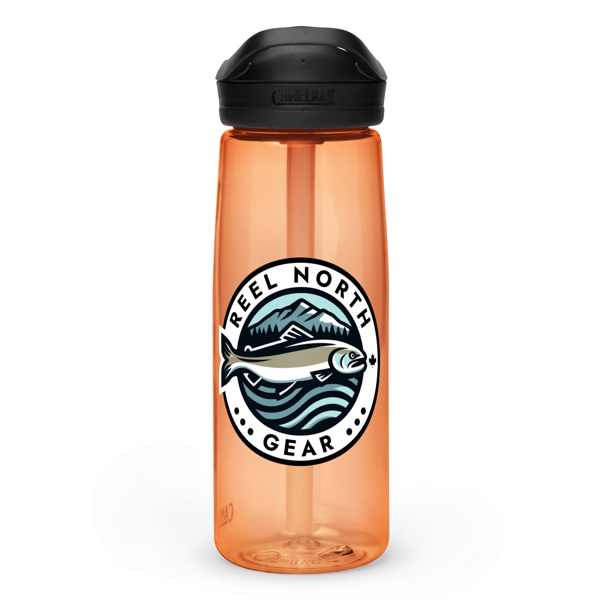 Sports water bottle