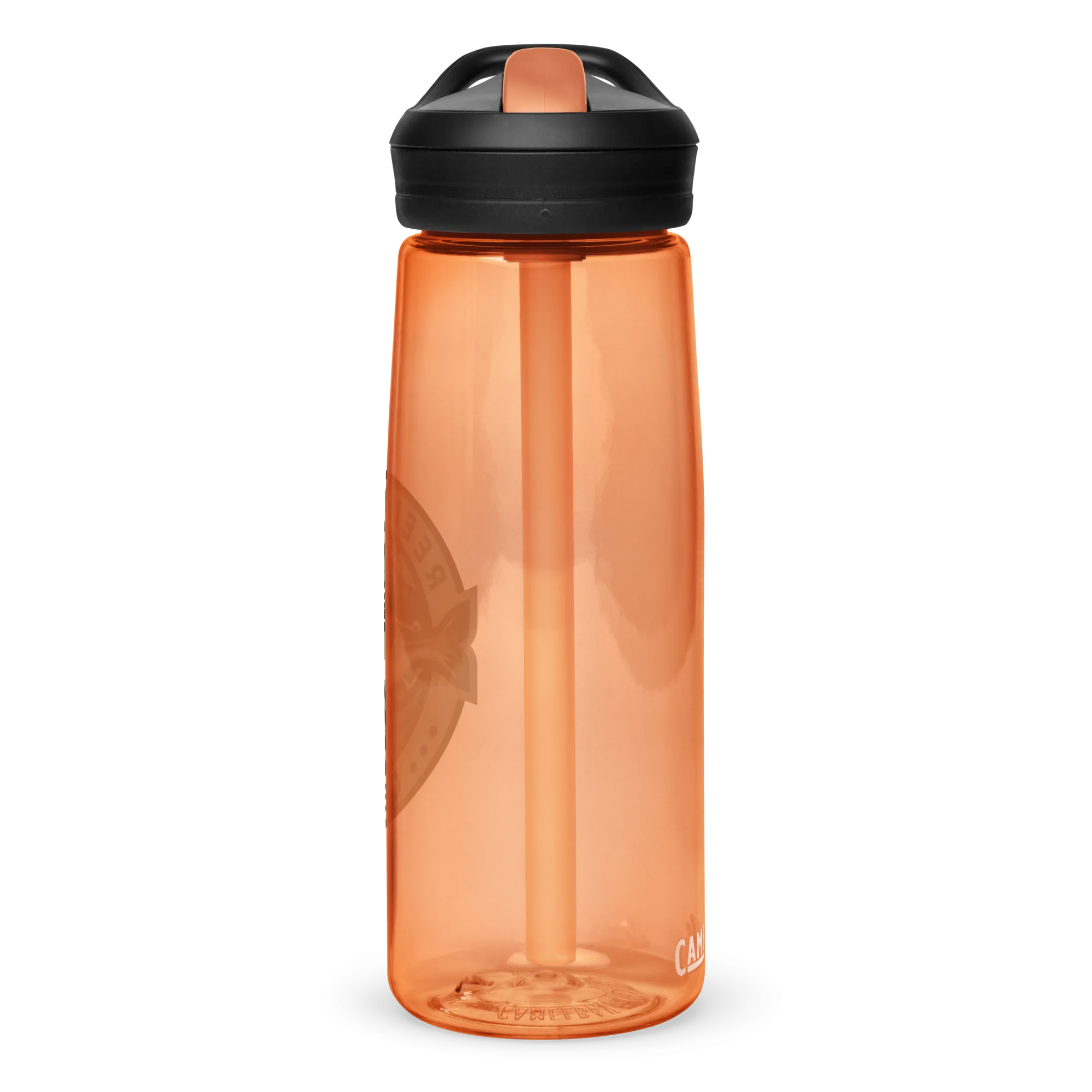 Sports water bottle