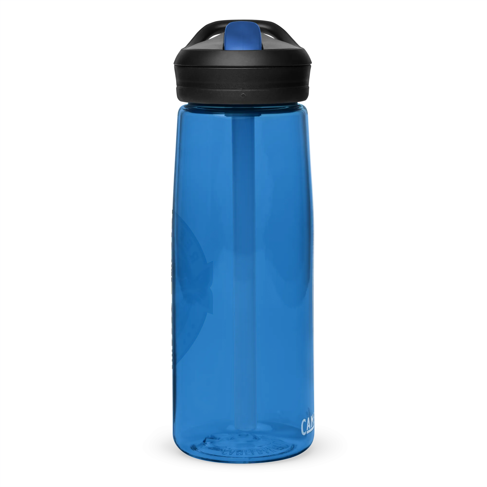 Sports water bottle