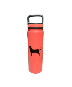 Stainless Eugene Water Bottle