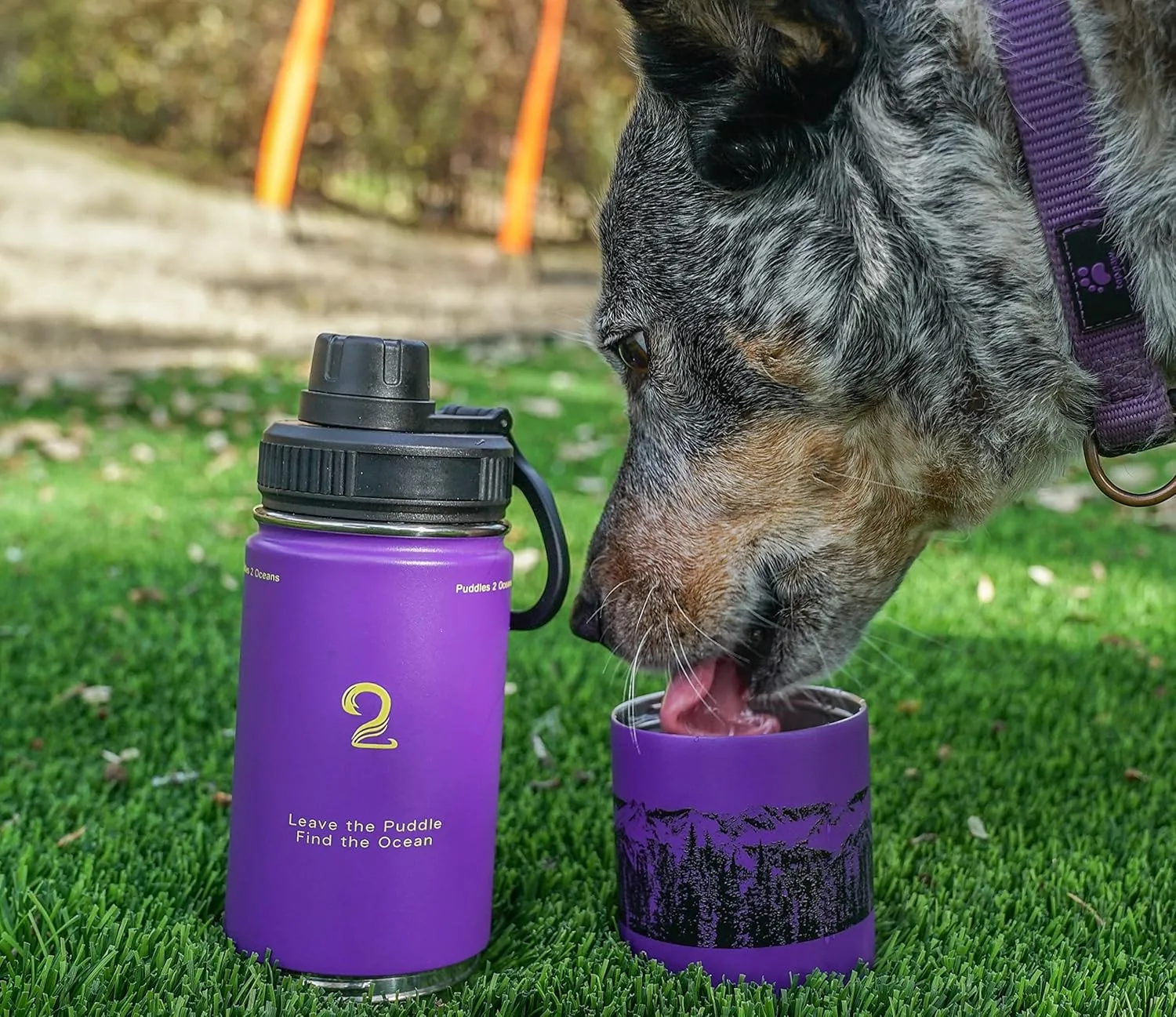 Stainless Steel Water Bottles, Coldest Water Bottle, Stackable Snack Containers for Kids, Insulated Water Bottle, Water Bottle with Snack Compartment, Sip N Seek (Purple)