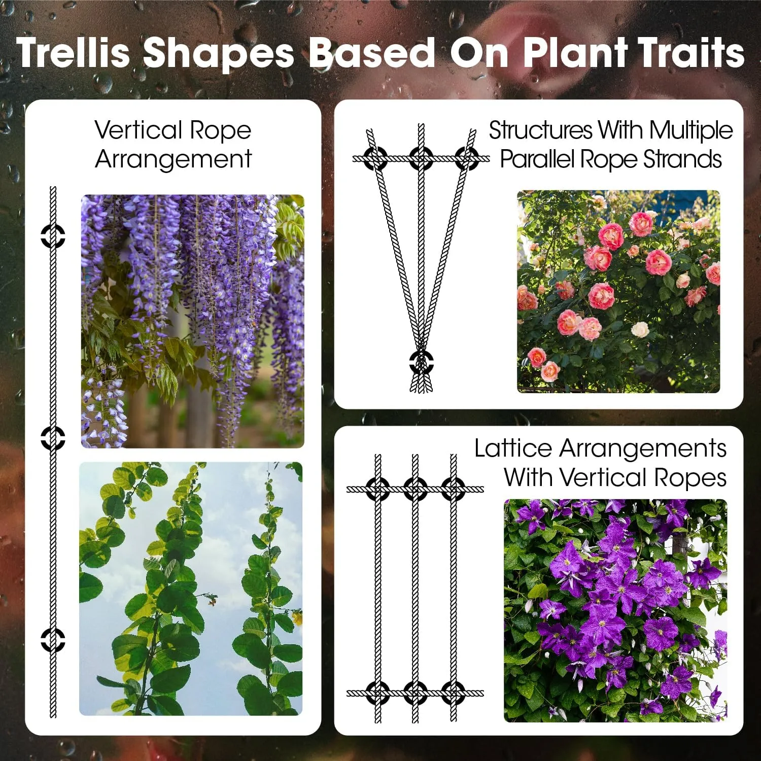 Stainless Steel Wire Trellis Kit for Climbing Plants - 20 Sets T316 Garden Support System with 98Ft Cable, Outdoor Wall Mount Plant Training Wire (WT001)